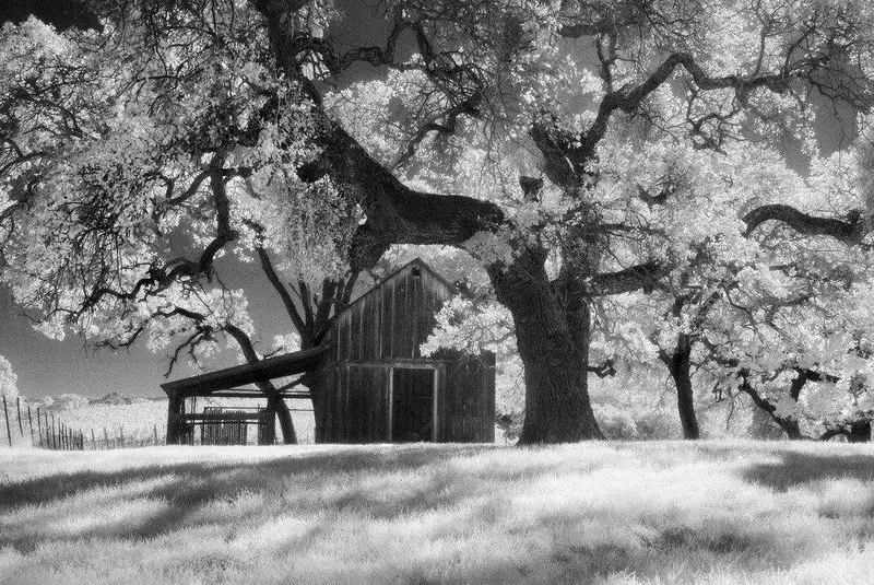 Summer Light - Livermore, Ca 1