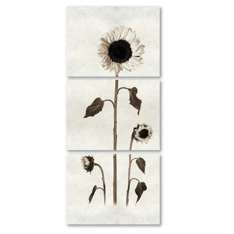 Sunflower Trilogy 1