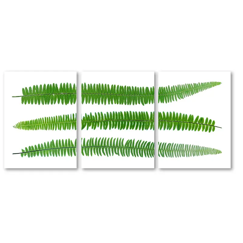 Sword Fern Trilogy 2