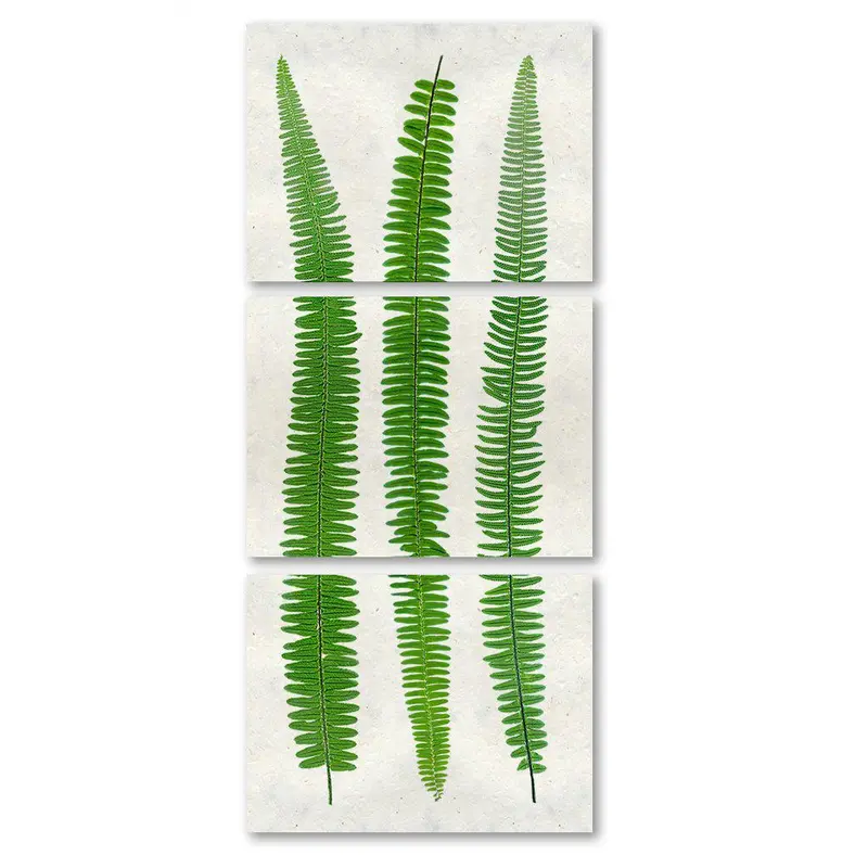 Sword Fern Trilogy 3