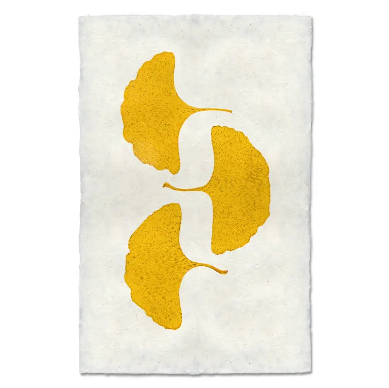 Three Yellow Ginkgos 1