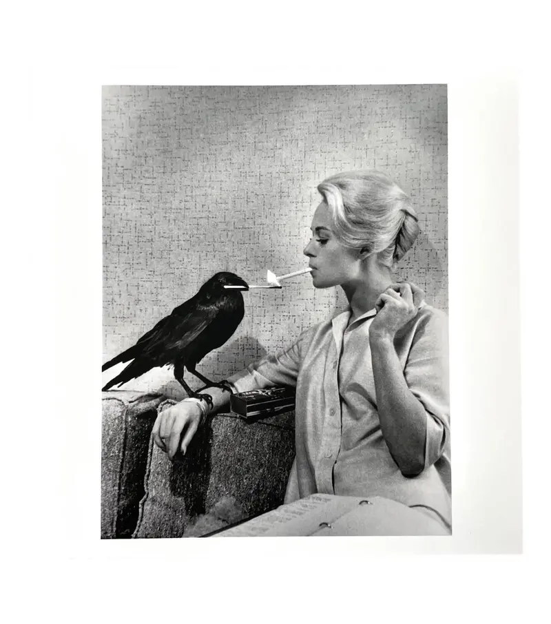 Tippi Hedren Hitchcock Photograph By Philippe Halsman 1