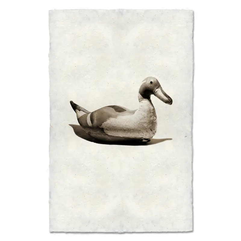 Tri-Colored Decoy 1