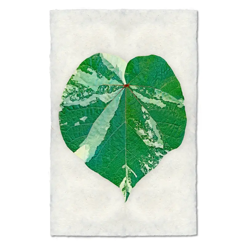 Tropical Leaf #4 2