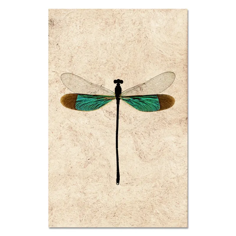 Turquoise Damsel 1