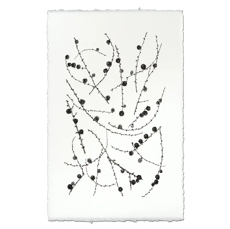 Twigs And Cones 2