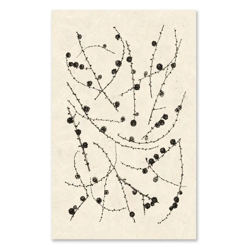 Twigs And Cones Grand Format 1