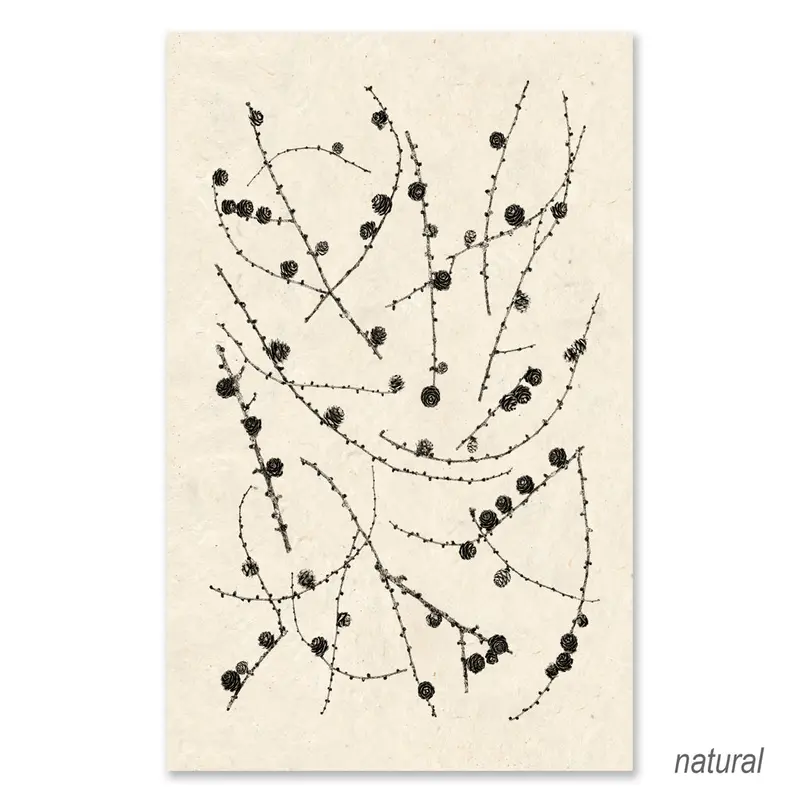 Twigs And Cones Grand Format 2