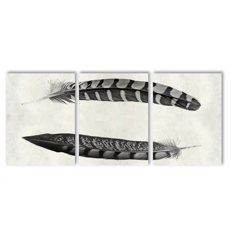 Two Curved Feathers Trilogy 1