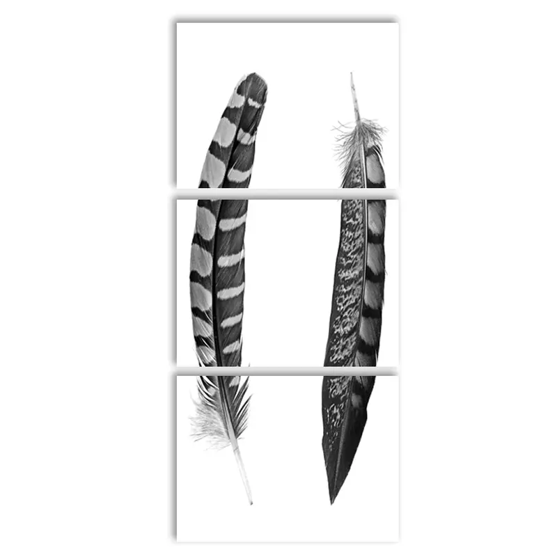 Two Curved Feathers Trilogy 4