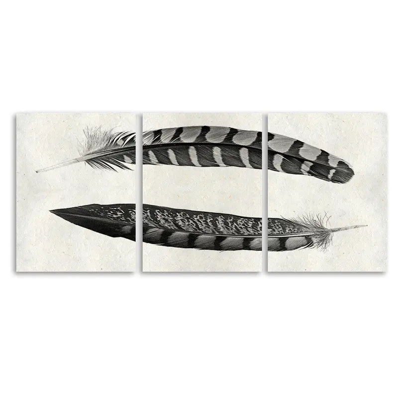 Two Curved Feathers Trilogy Horizontal 1