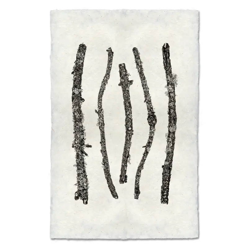 Vertical Twigs #1 1
