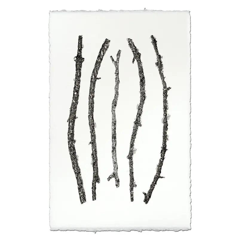 Vertical Twigs #2 2