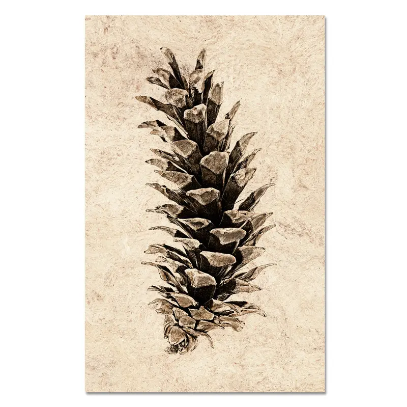 Western White Pine 1
