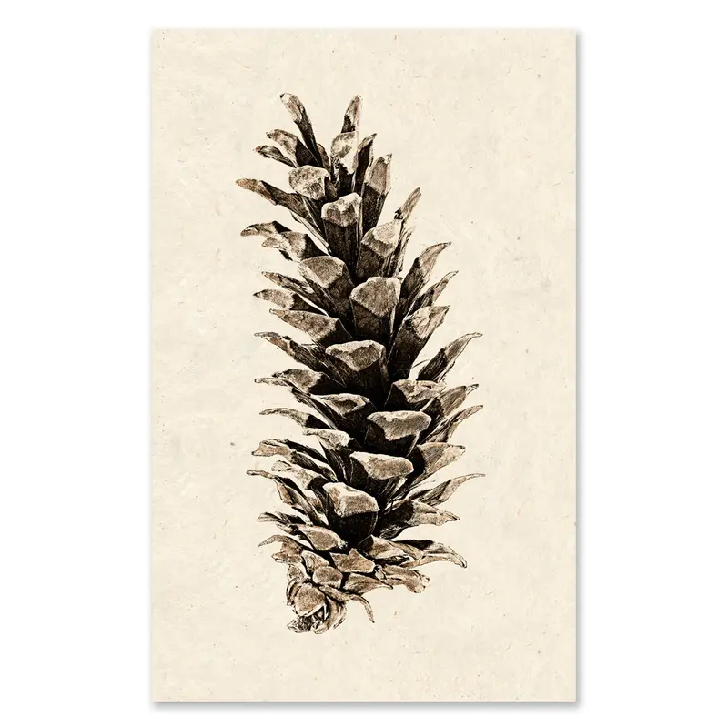 Western White Pine Grand Format 1