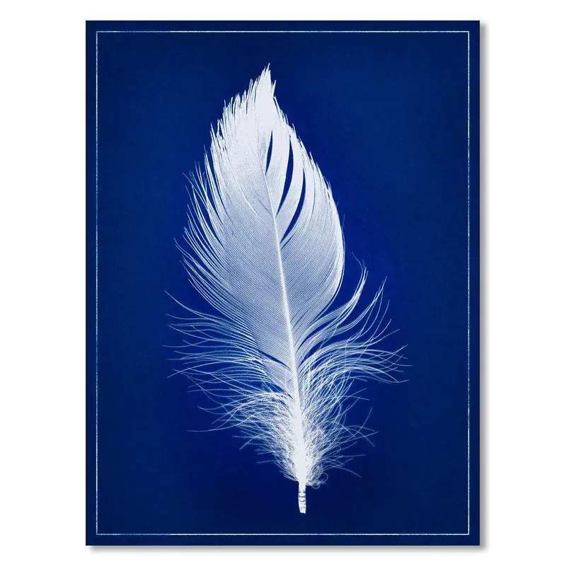 White Feather Blue Print 1