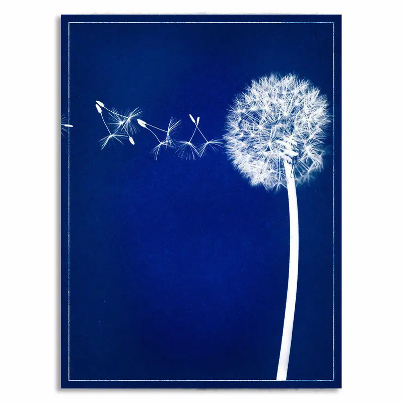 Wish Blue Print 1