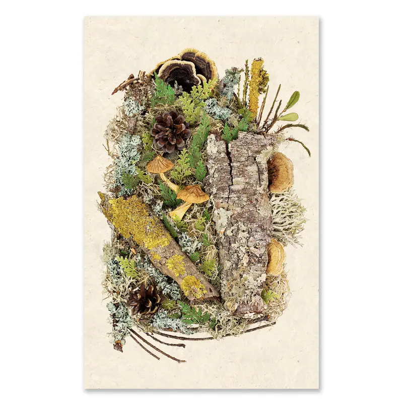 Woodland Collective Grand Format 1