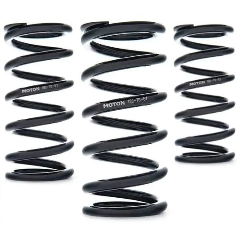 Ast Linear Race Springs – 300Mm Length, 100 N/Mm Rate, 61Mm Id – Pair 1