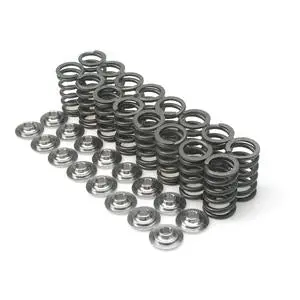 Brian Crower Dual Spring & Steel Alloy Retainer Kit For High-Mileage Honda H22 Engines 1