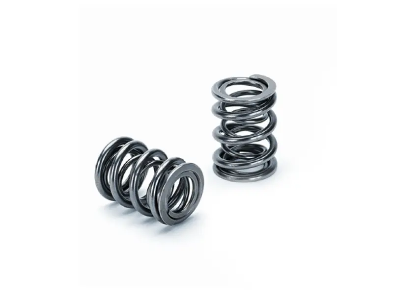 Supertech Dual Valve Spring Kit For Mitsubishi 4G63 Dohc Turbo Engines (Single-Pack) 1