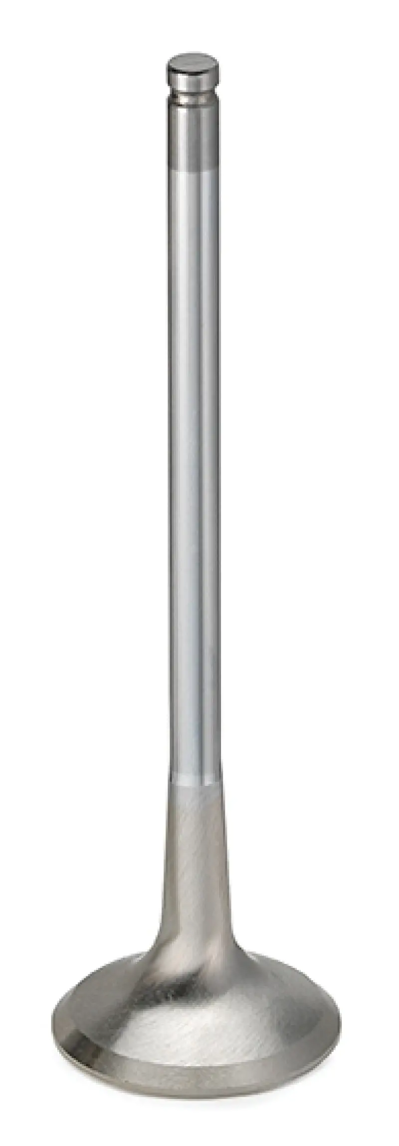Supertech Inconel Exhaust Valve For Honda B16A/B18C – Single Unit (Drop Ship Only) 1